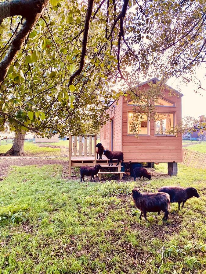 Jolie Tiny House Sous Les Grands Arbres Villa โชเลต์ ภายนอก รูปภาพ
