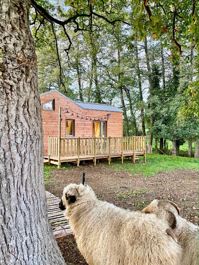 Jolie Tiny House Sous Les Grands Arbres Villa โชเลต์ ภายนอก รูปภาพ