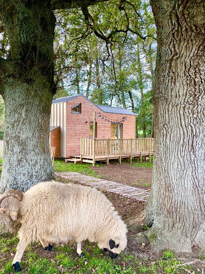 Jolie Tiny House Sous Les Grands Arbres Villa โชเลต์ ภายนอก รูปภาพ