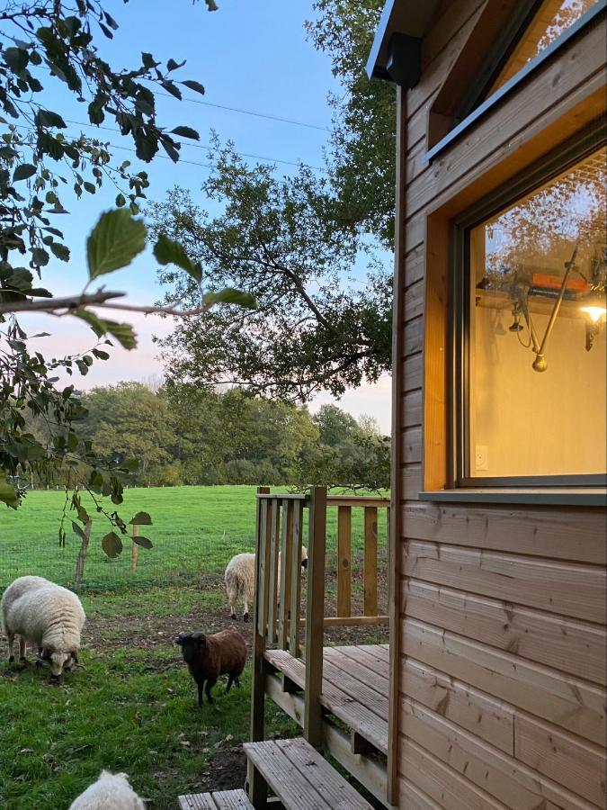 Jolie Tiny House Sous Les Grands Arbres Villa โชเลต์ ภายนอก รูปภาพ