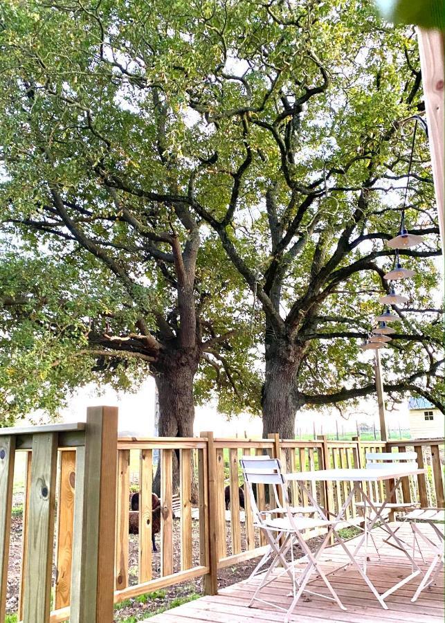 Jolie Tiny House Sous Les Grands Arbres Villa โชเลต์ ภายนอก รูปภาพ